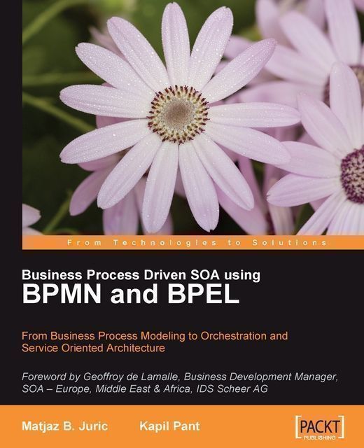 Business Process Driven SOA using BPMN and BPEL