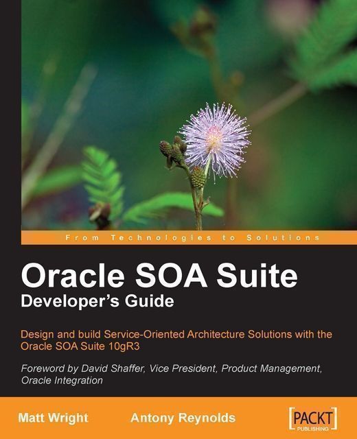 Oracle SOA Suite Developer's Guide