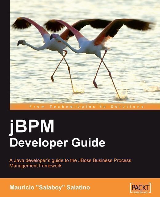 jBPM Developer Guide