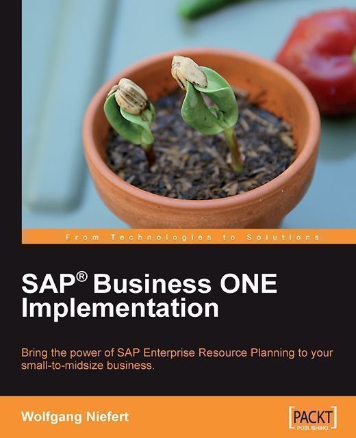 SAPAA Business ONE Implementation