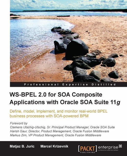 WS-BPEL 2.0 for SOA Composite Applications with Oracle SOA Suite 11g