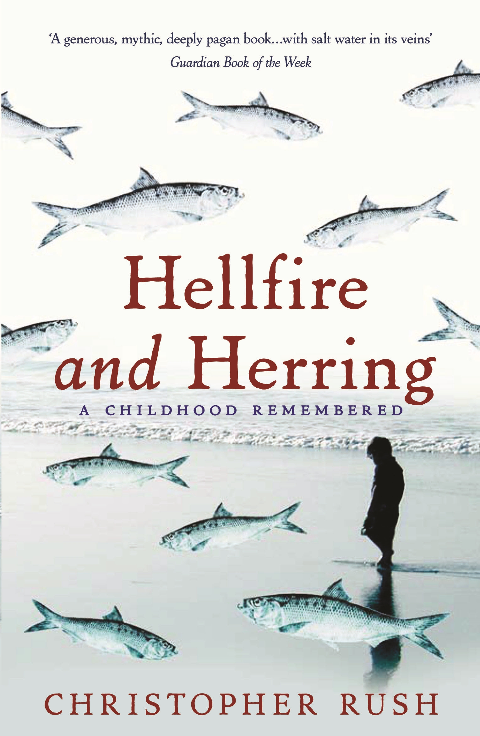 Cover image for Hellfire And Herring