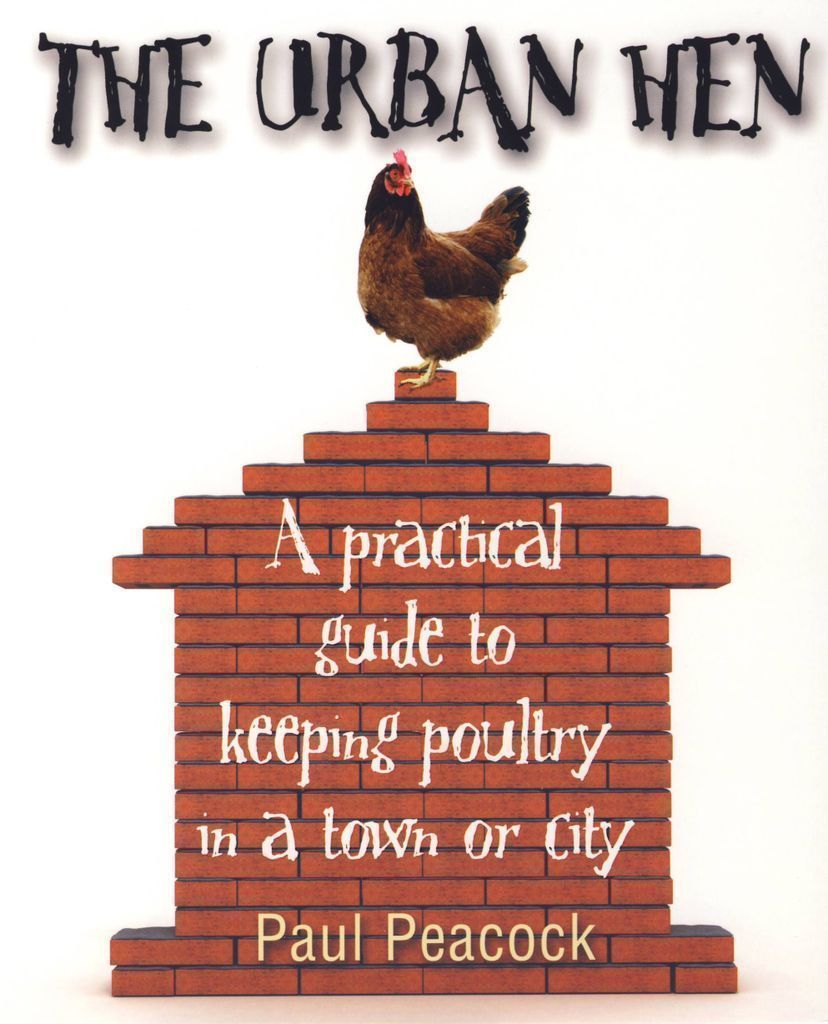 Cover image for The Urban Hen
