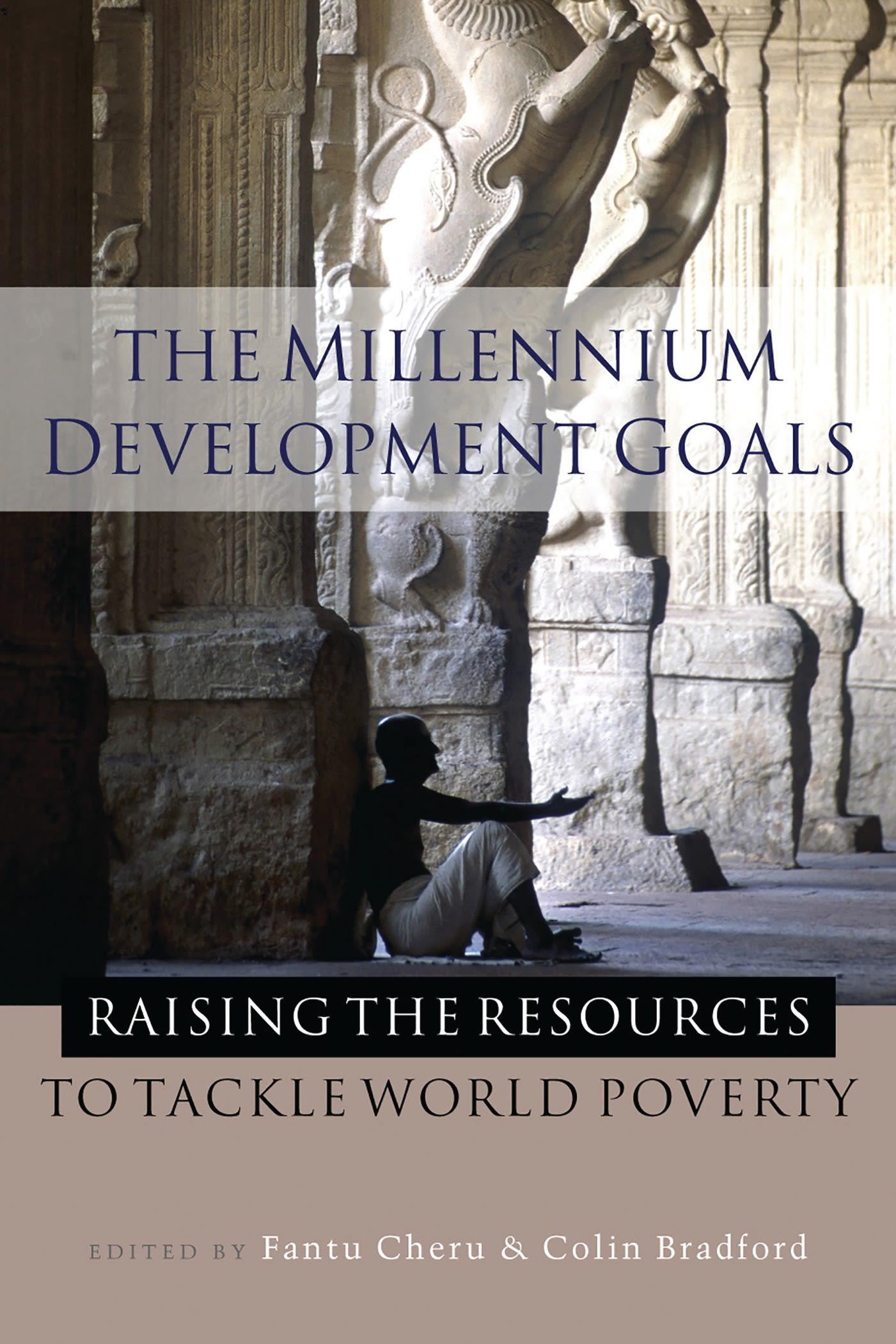 Cover image for The Millennium Development Goals