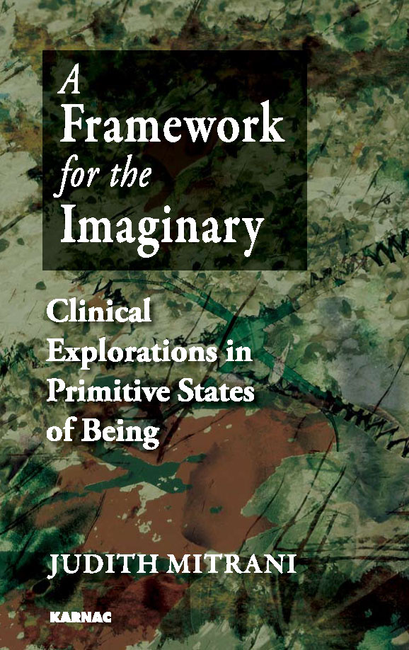 A Framework for the Imaginary