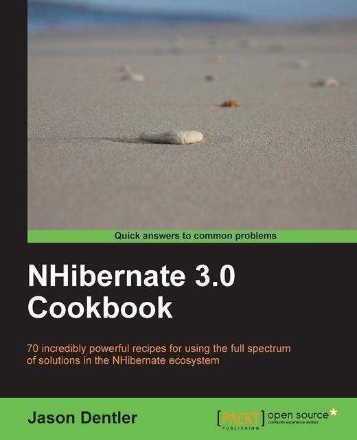 NHibernate 3.0 Cookbook