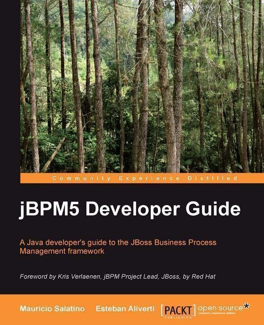 jBPM5 Developer Guide