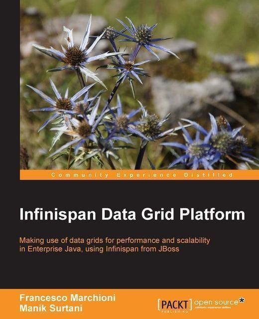 Infinispan Data Grid Platform