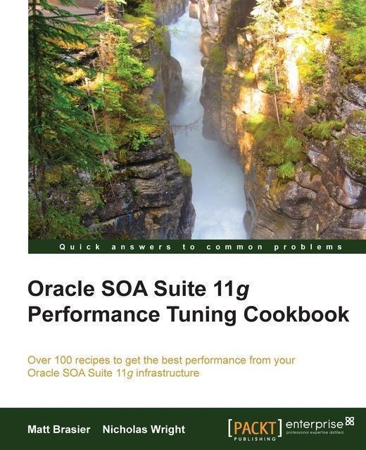 Oracle SOA Suite 11g Performance Tuning Cookbook