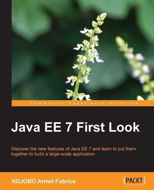 Java EE 7 First Look