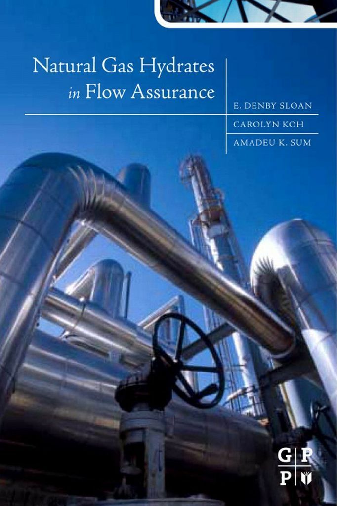 Cover image for Natural Gas Hydrates in Flow Assurance