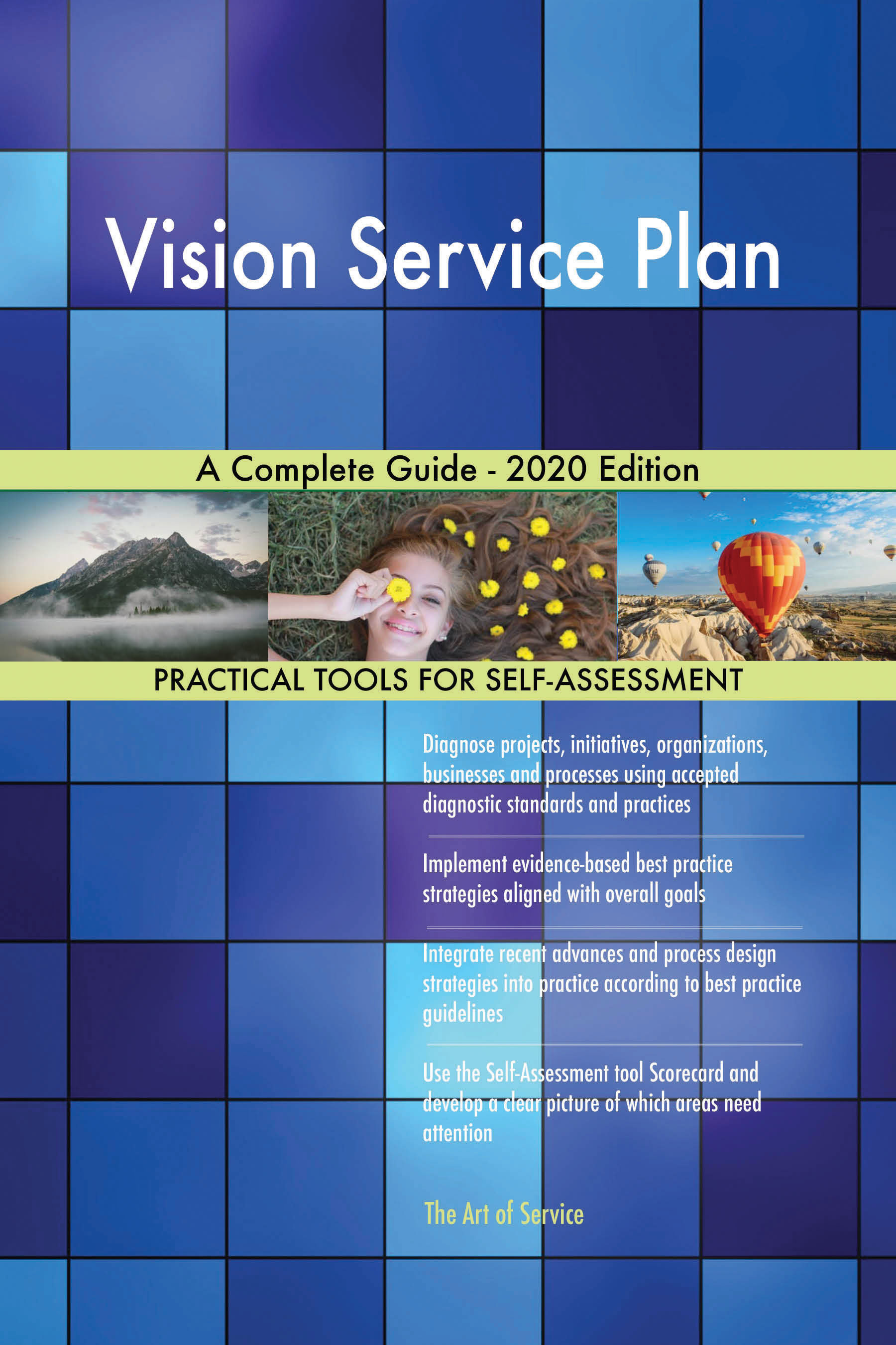 Cover image for Vision Service Plan A Complete Guide - 2020 Edition