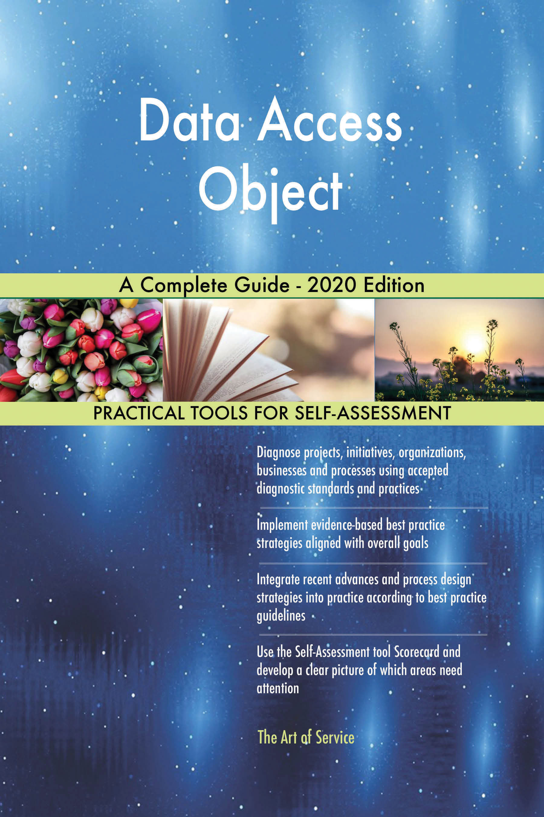 Cover image for Data Access Object A Complete Guide - 2020 Edition