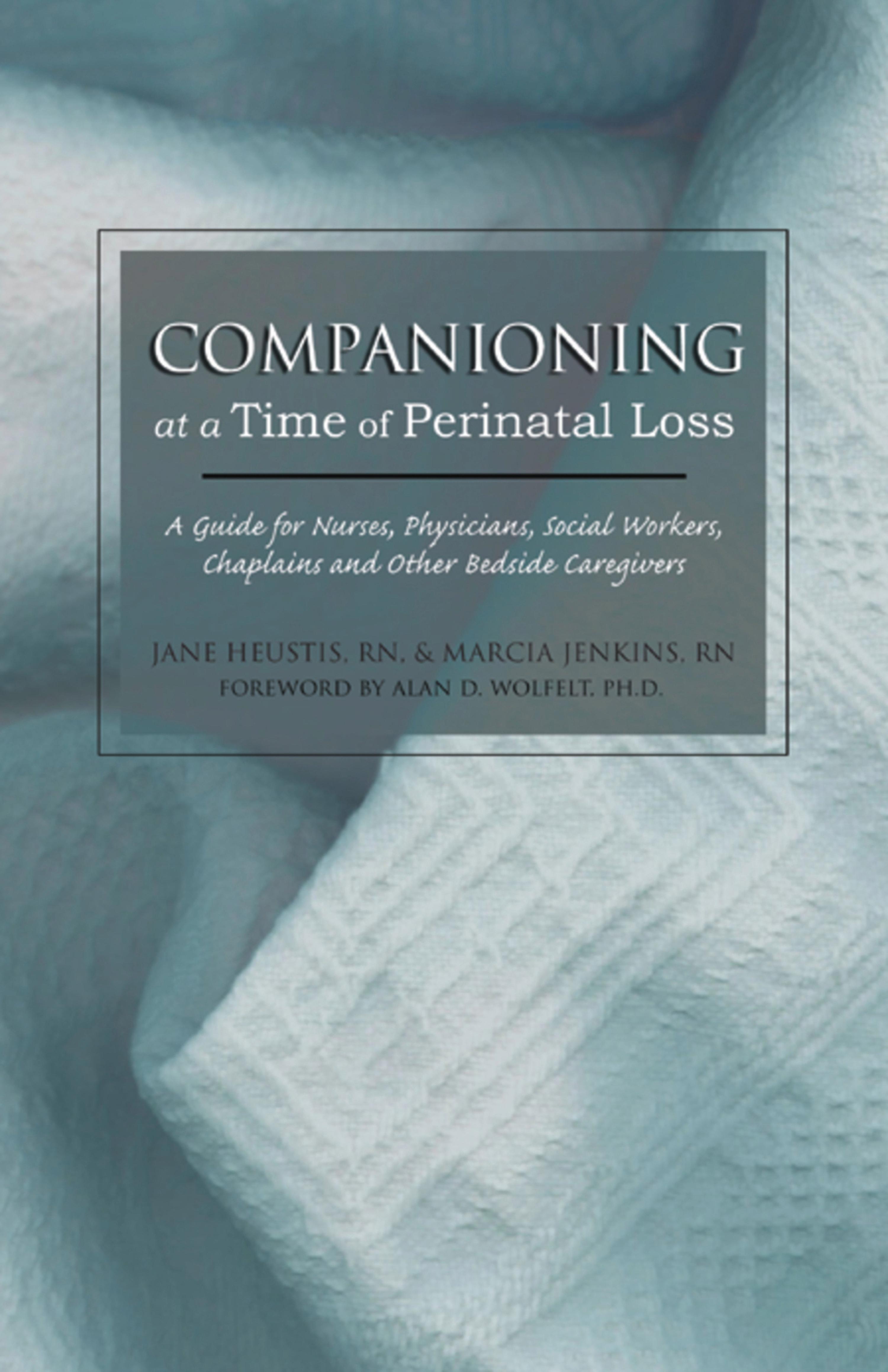 Cover image for Companioning at a Time of Perinatal Loss