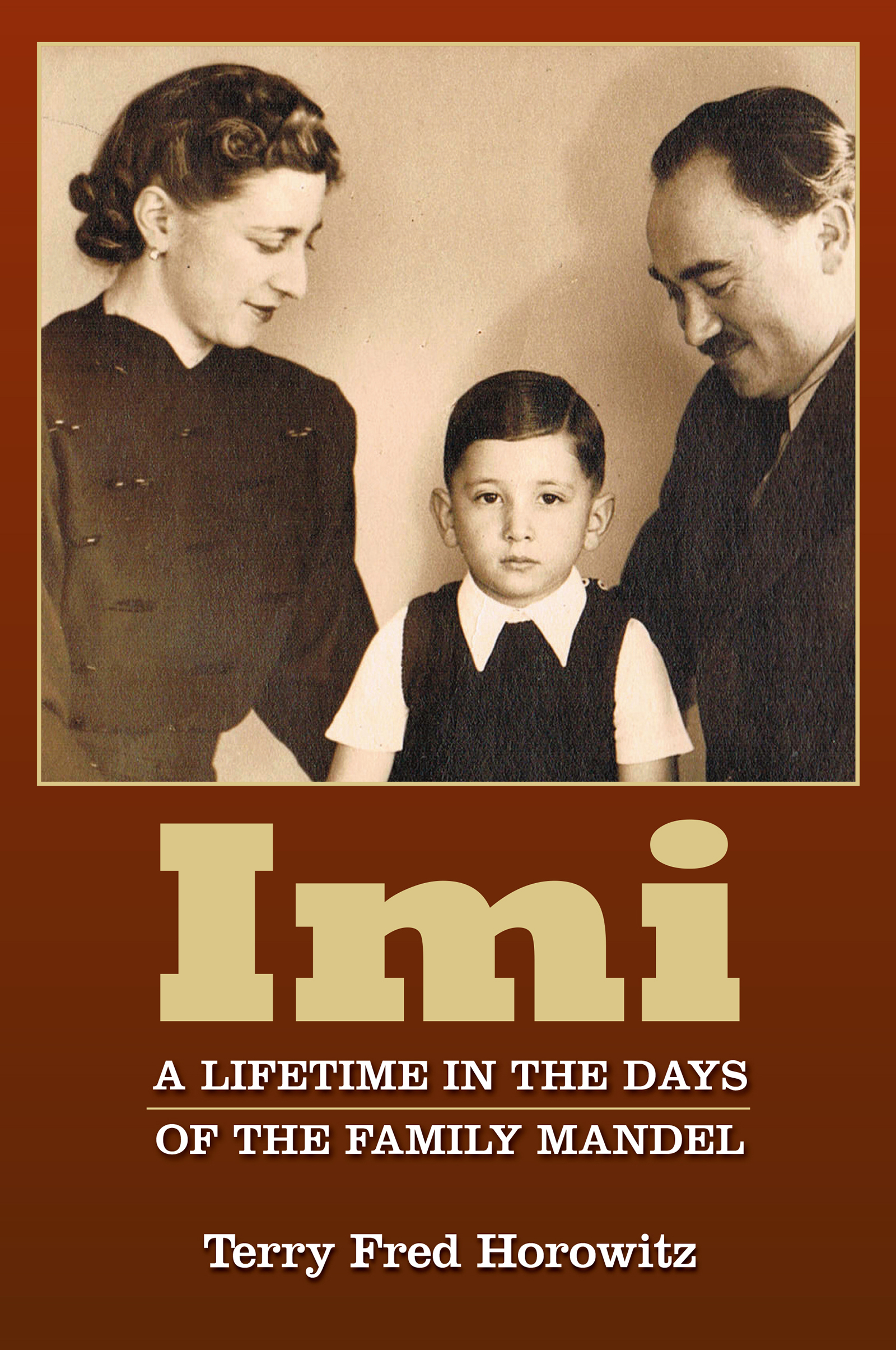 Cover image for IMI