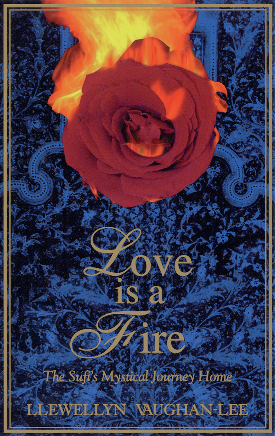 Love Is a Fire