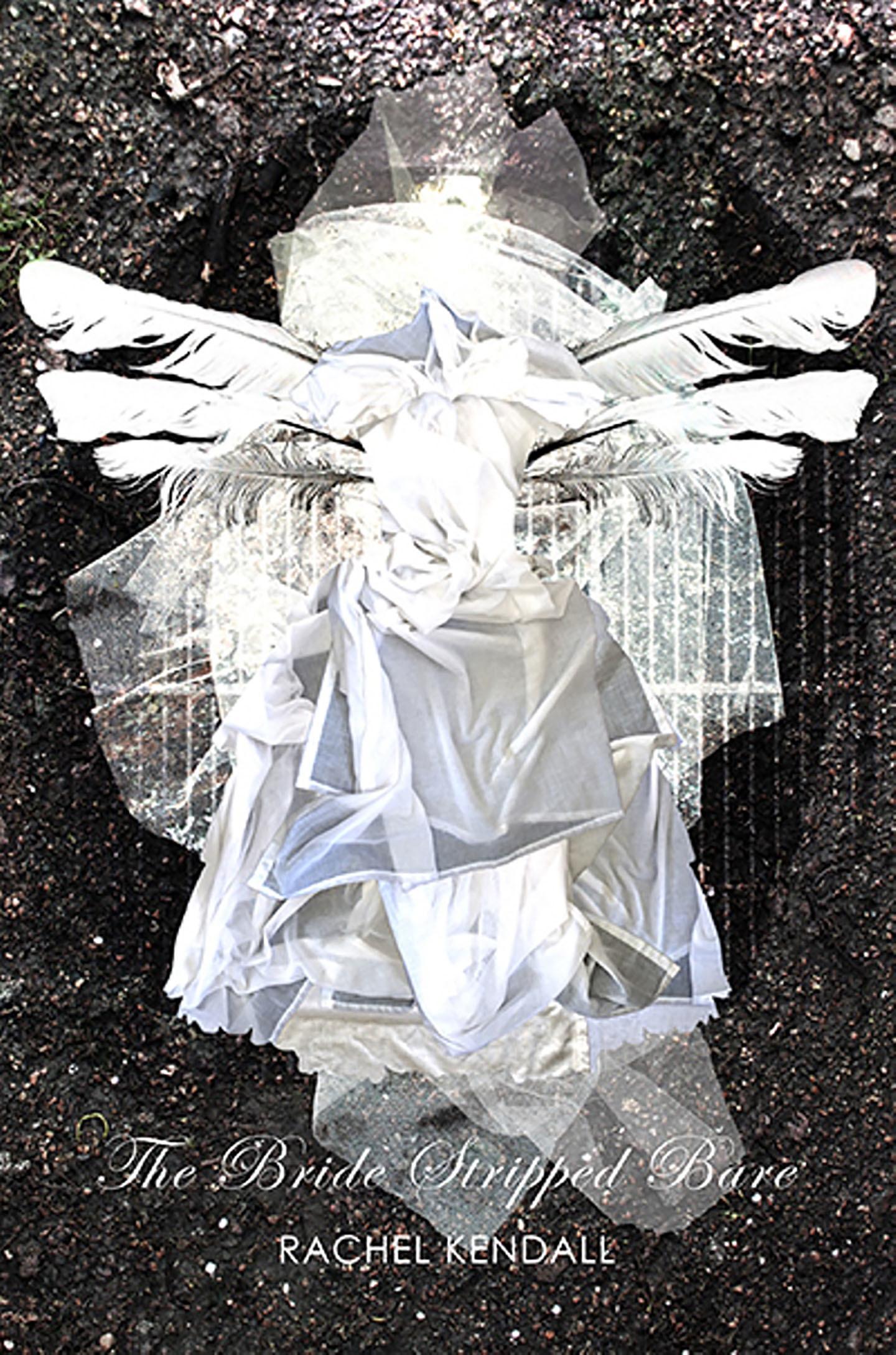 Cover image for The Bride Stripped Bare