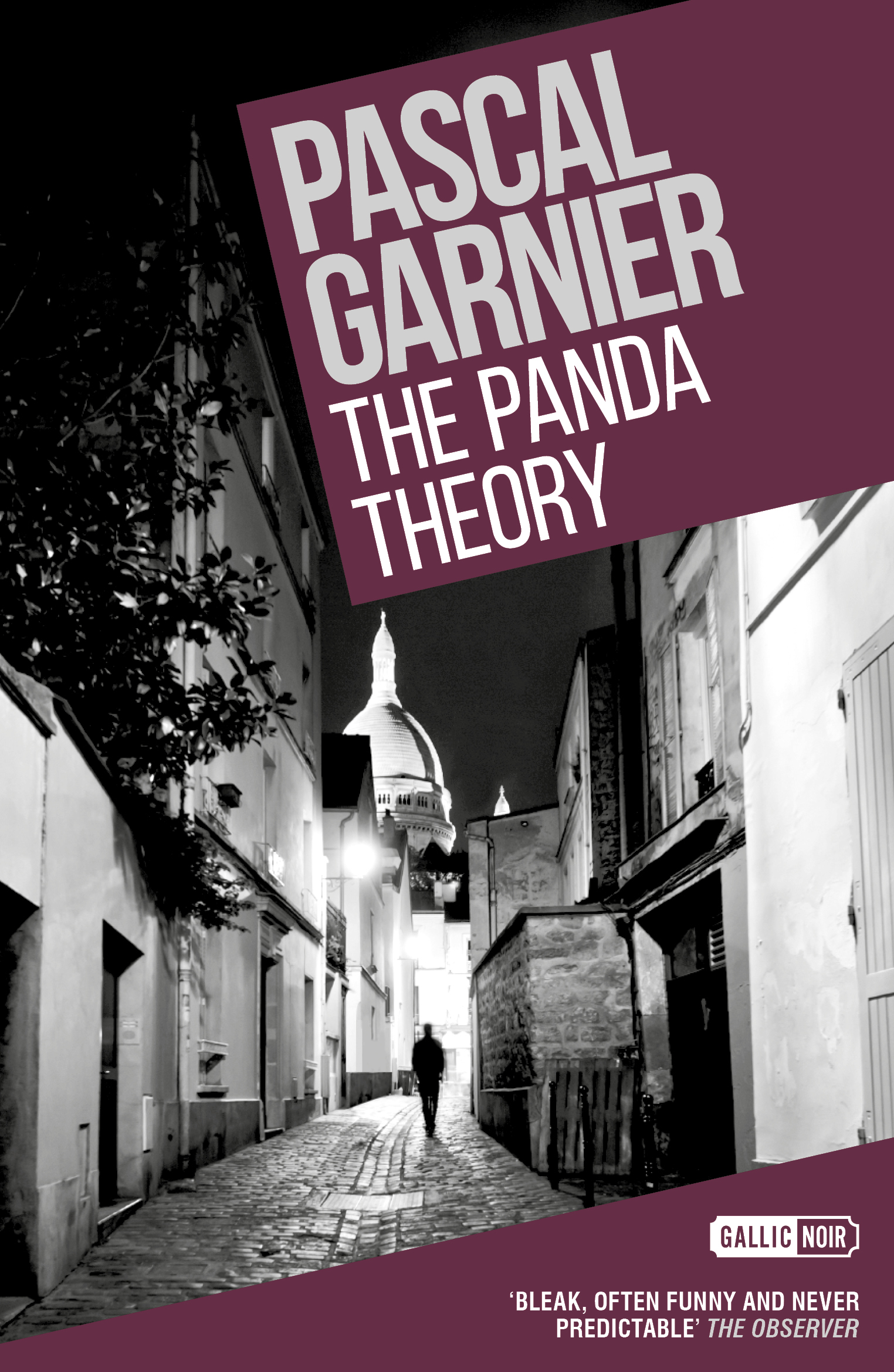 Cover image for The Panda Theory: Shocking, hilarious and poignant noir
