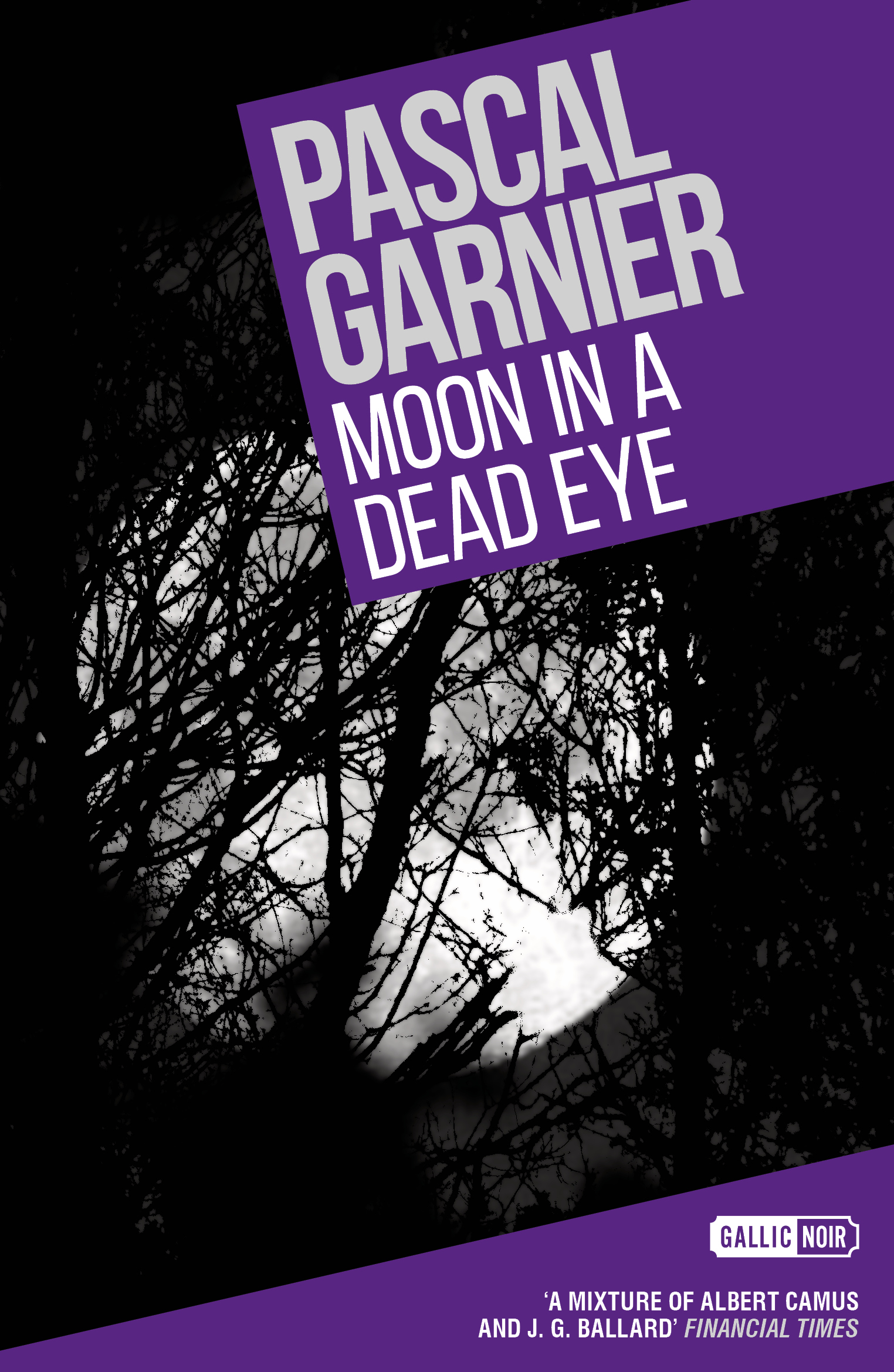 Cover image for Moon in a Dead Eye: Shocking, hilarious and poignant noir