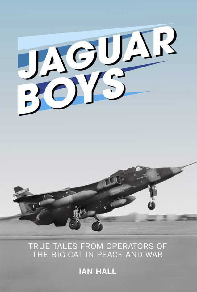 Cover image for Jaguar Boys