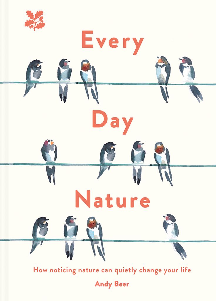 Cover image for Every Day Nature