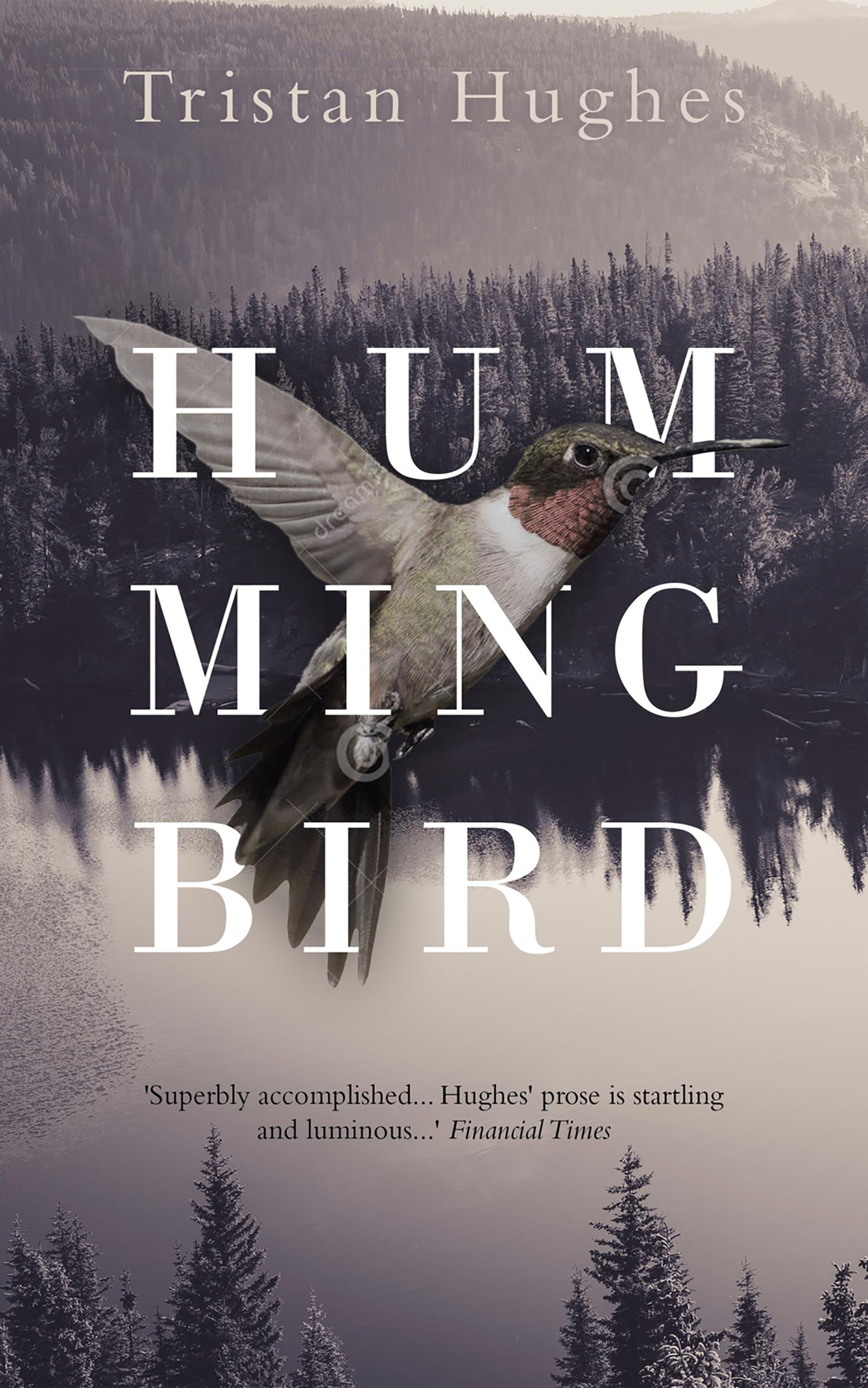 Cover image for Hummingbird