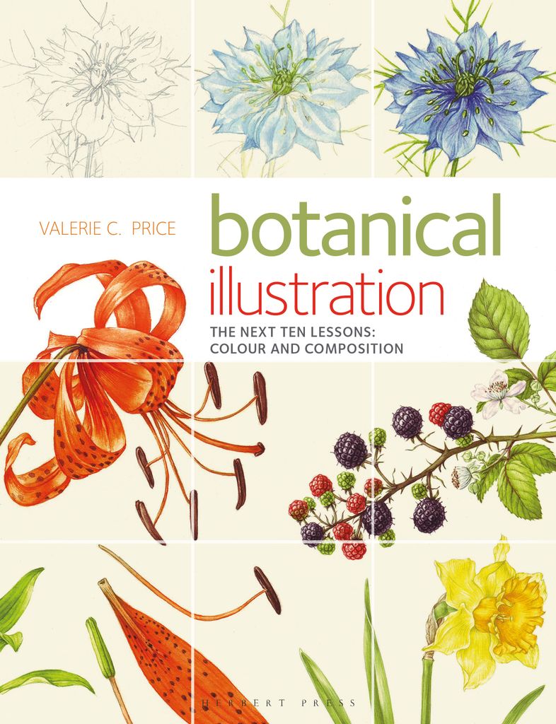 Cover image for Botanical Illustration
