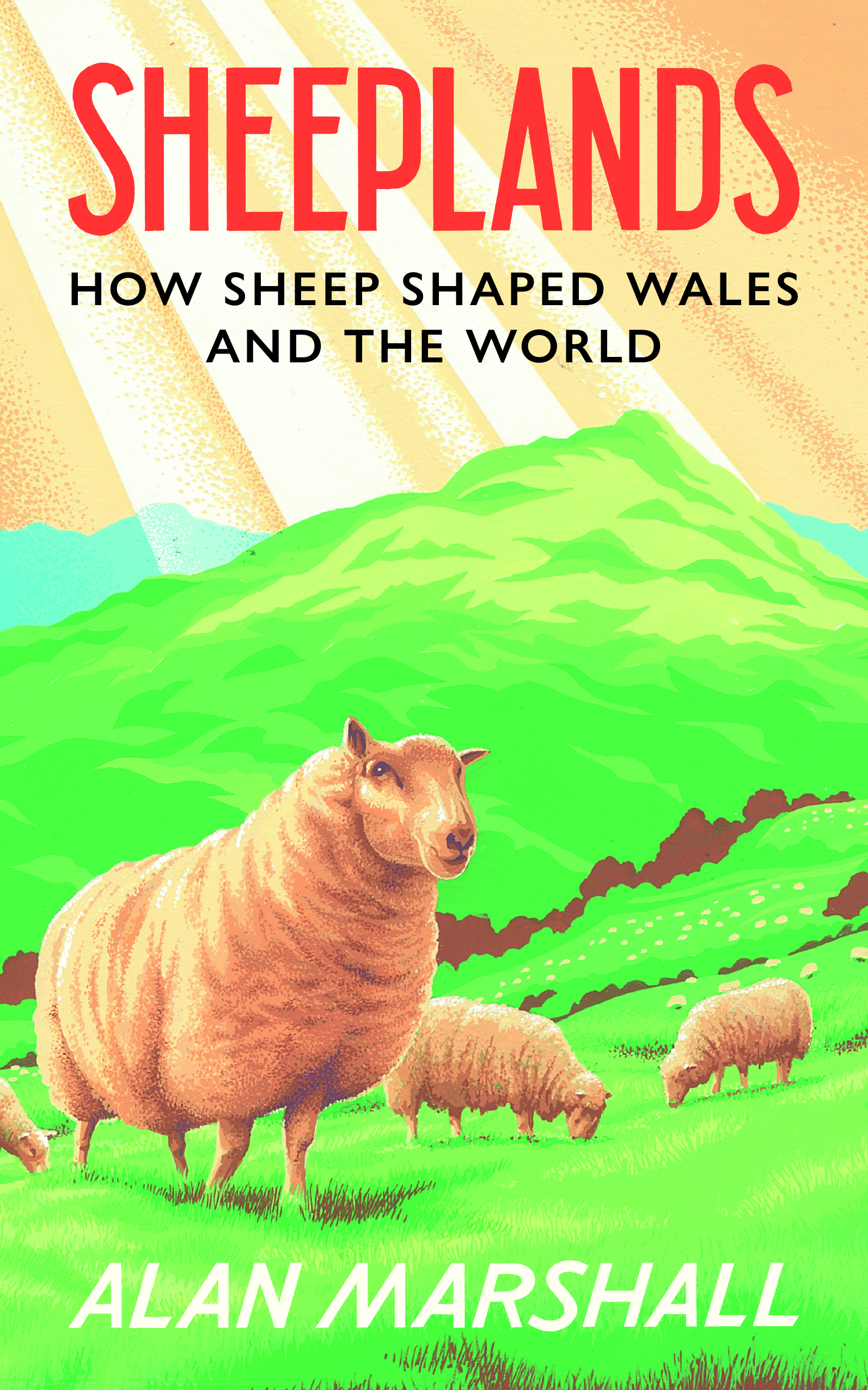 Cover image for Sheeplands