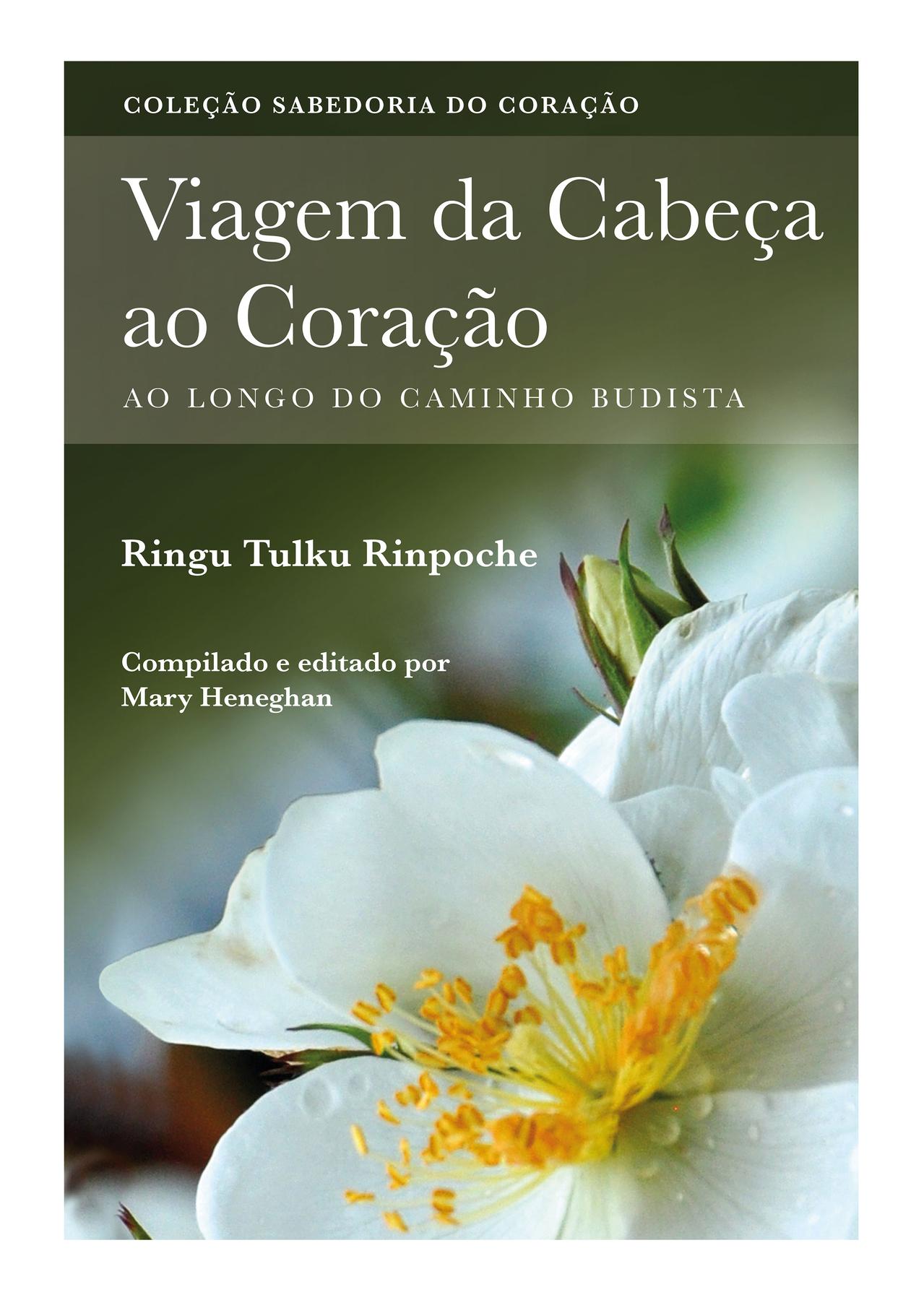 Cover image for Viagem da Cabec ao Coracao