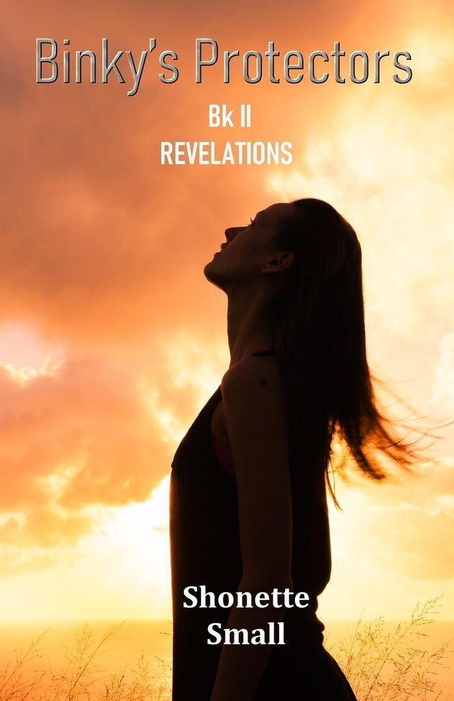 Cover image for Binky's Protectors