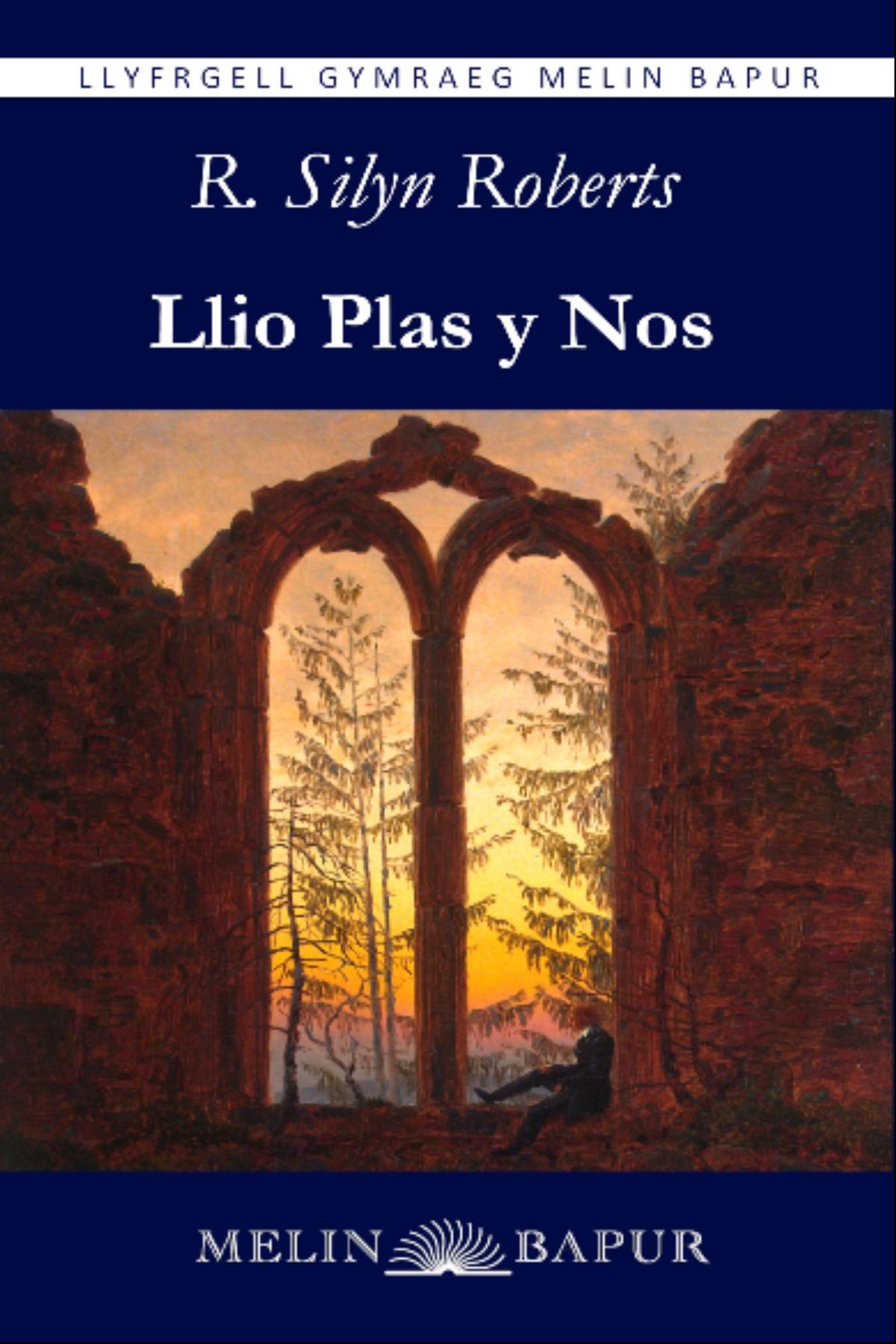 Cover image for Llio Plas y Nos (eLyfr)