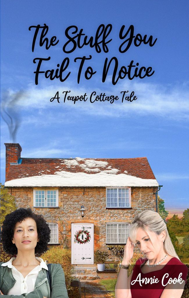 Cover image for The Stuff You Fail To Notice