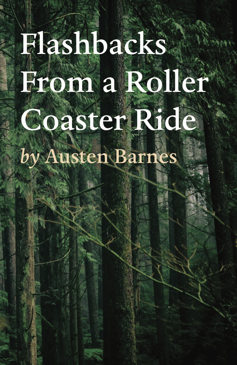 Cover image for Flashbacks From a Roller Coaster Ride