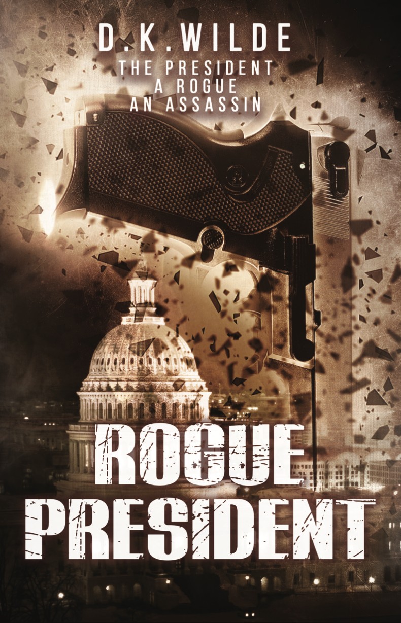 Cover image for Rogue President