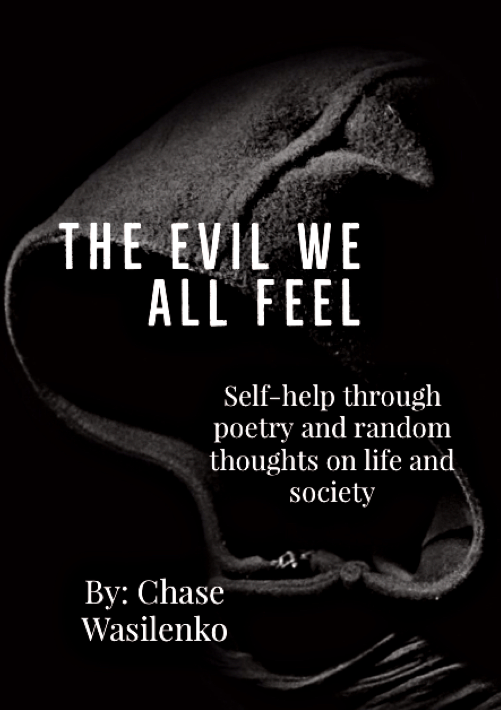 Cover image for The Evil We All Feel