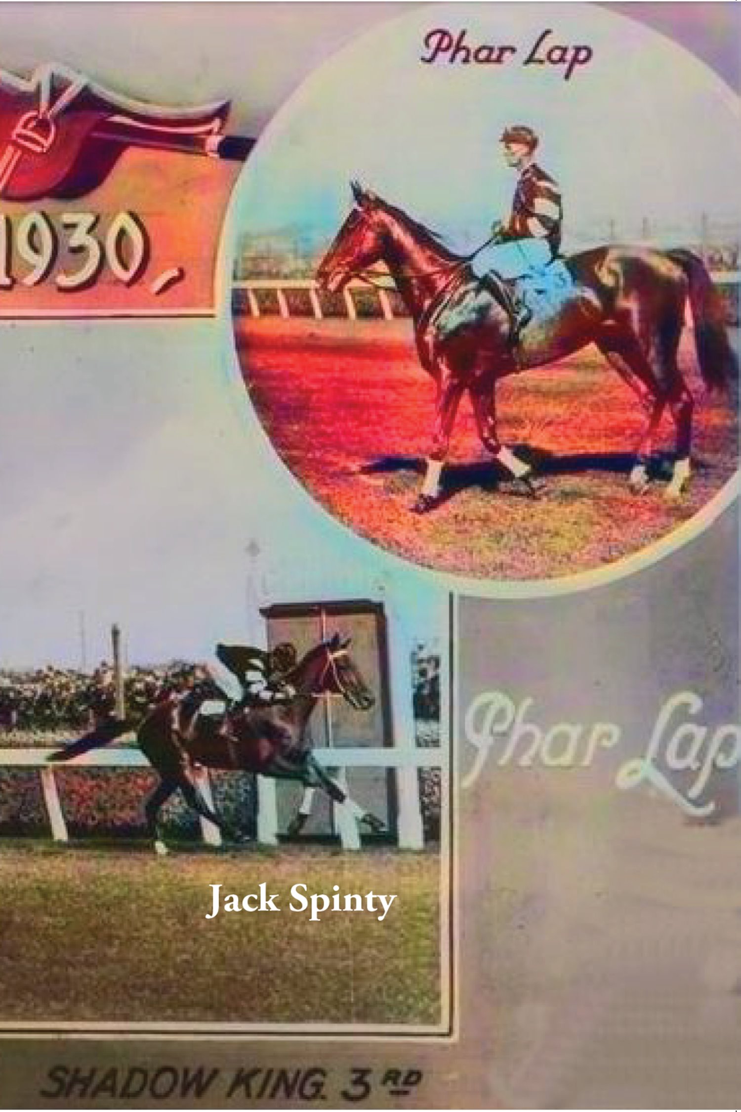 Cover image for Phar Lap