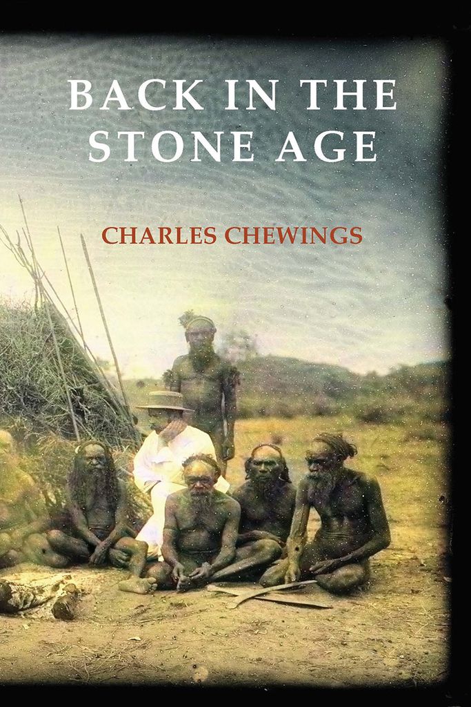 Cover image for Back in the Stone Age