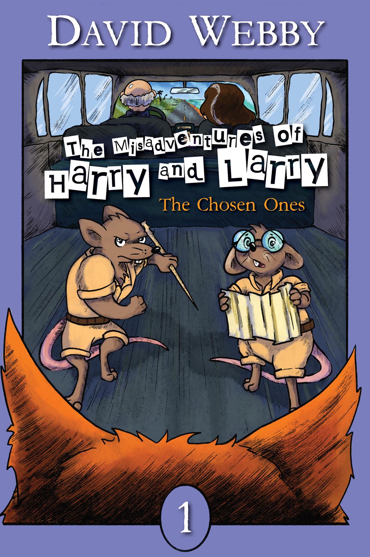 Cover image for The Misadventures of Harry and Harry