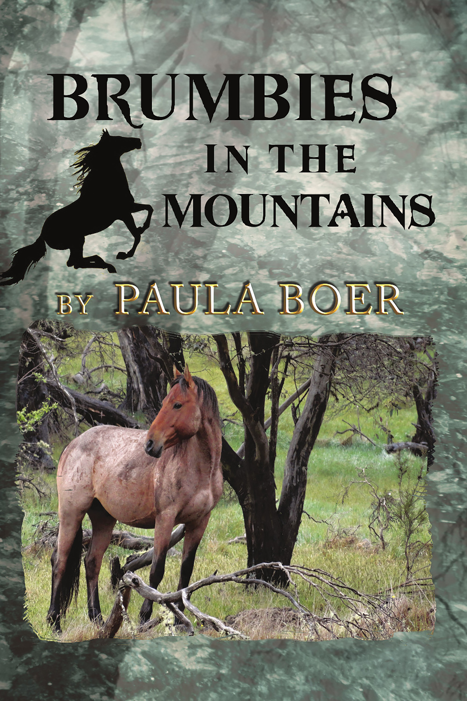 Cover image for Brumbies in the Mountains