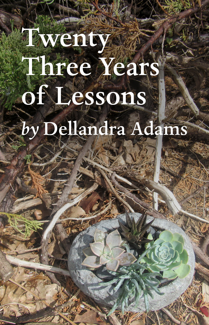 Cover image for Twenty Three Years of Lessons