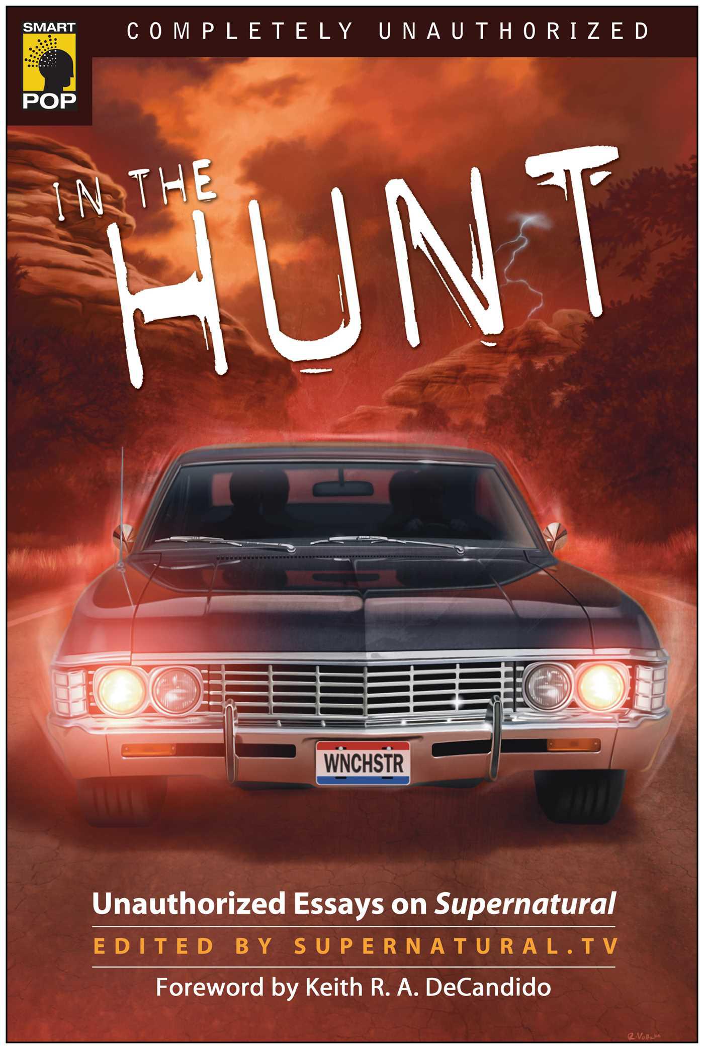 Cover image for In the Hunt