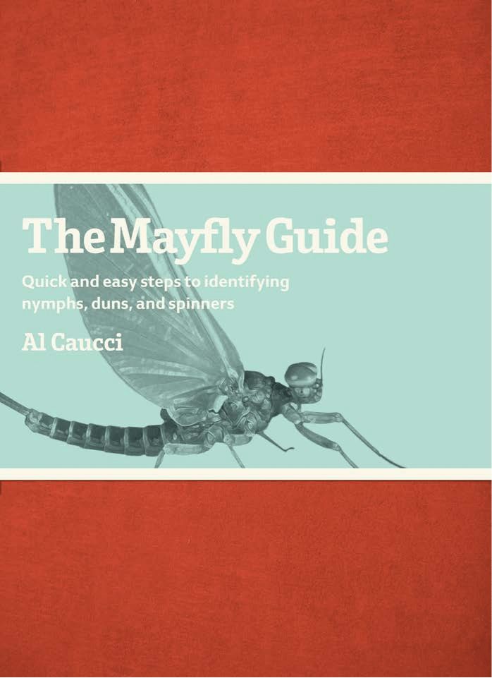 The Mayfly Guide