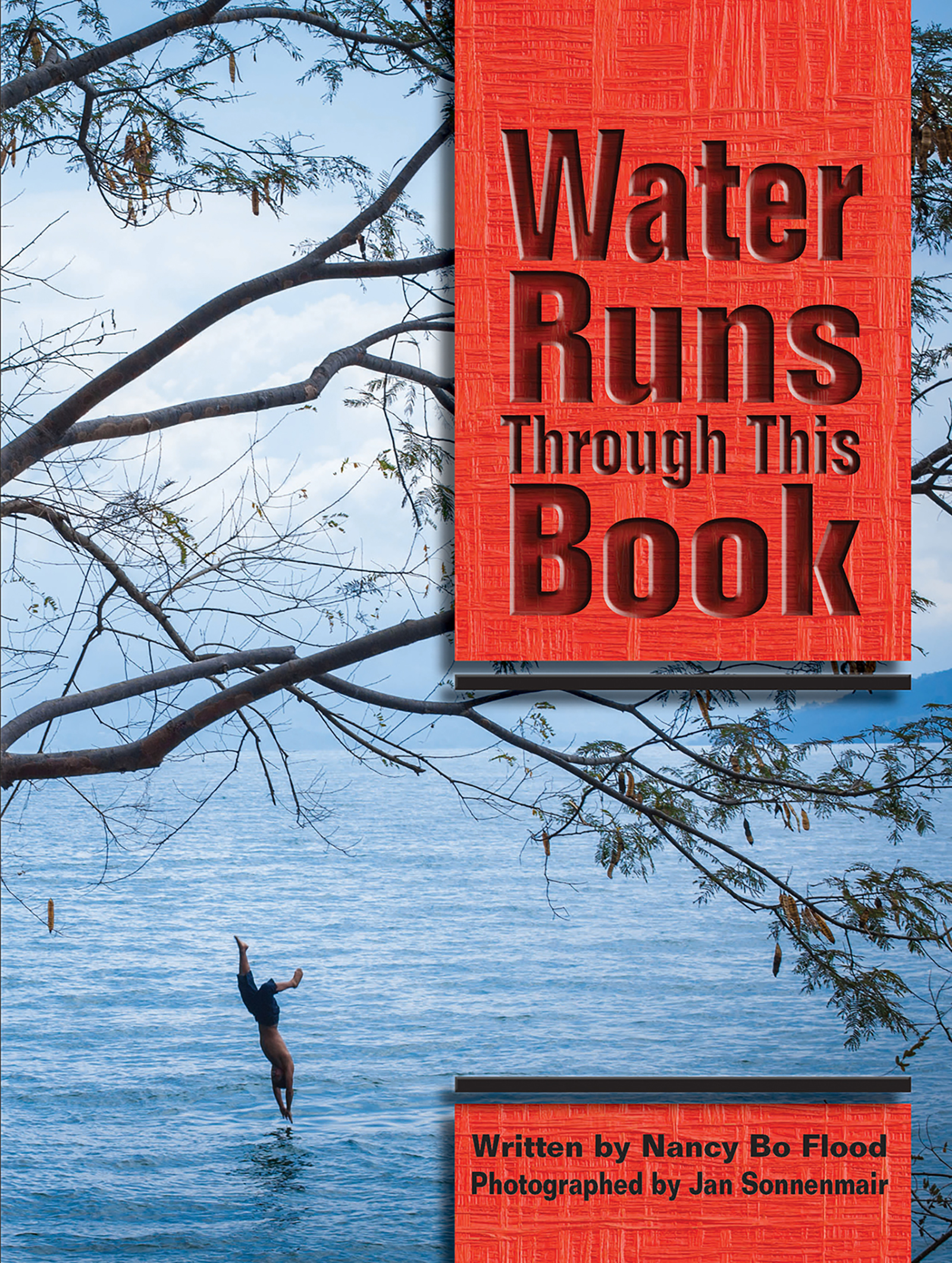 Cover image for Water Runs Through This Book