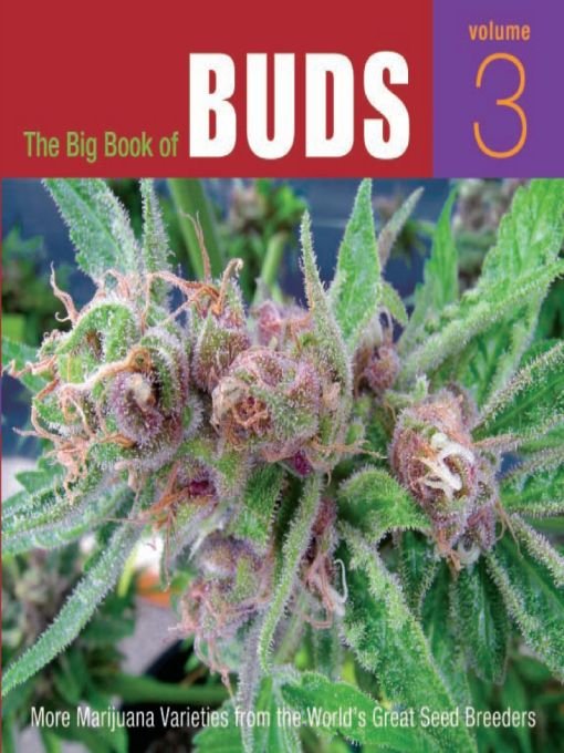 Cover image for The Big Book of Buds