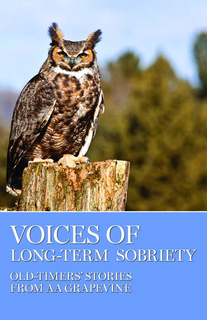 Cover image for Voices of Long-Term Sobriety