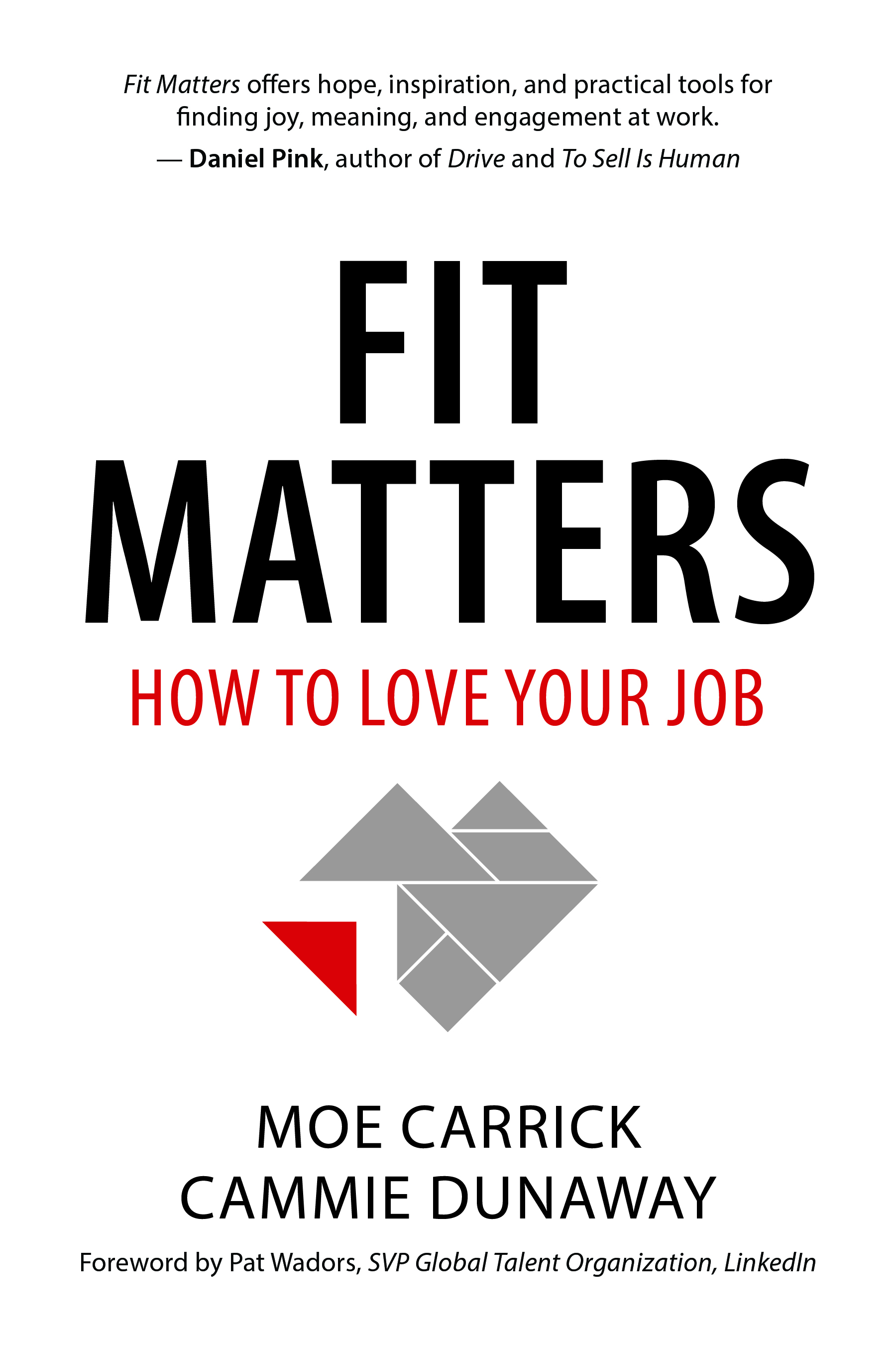 Cover image for Fit Matters