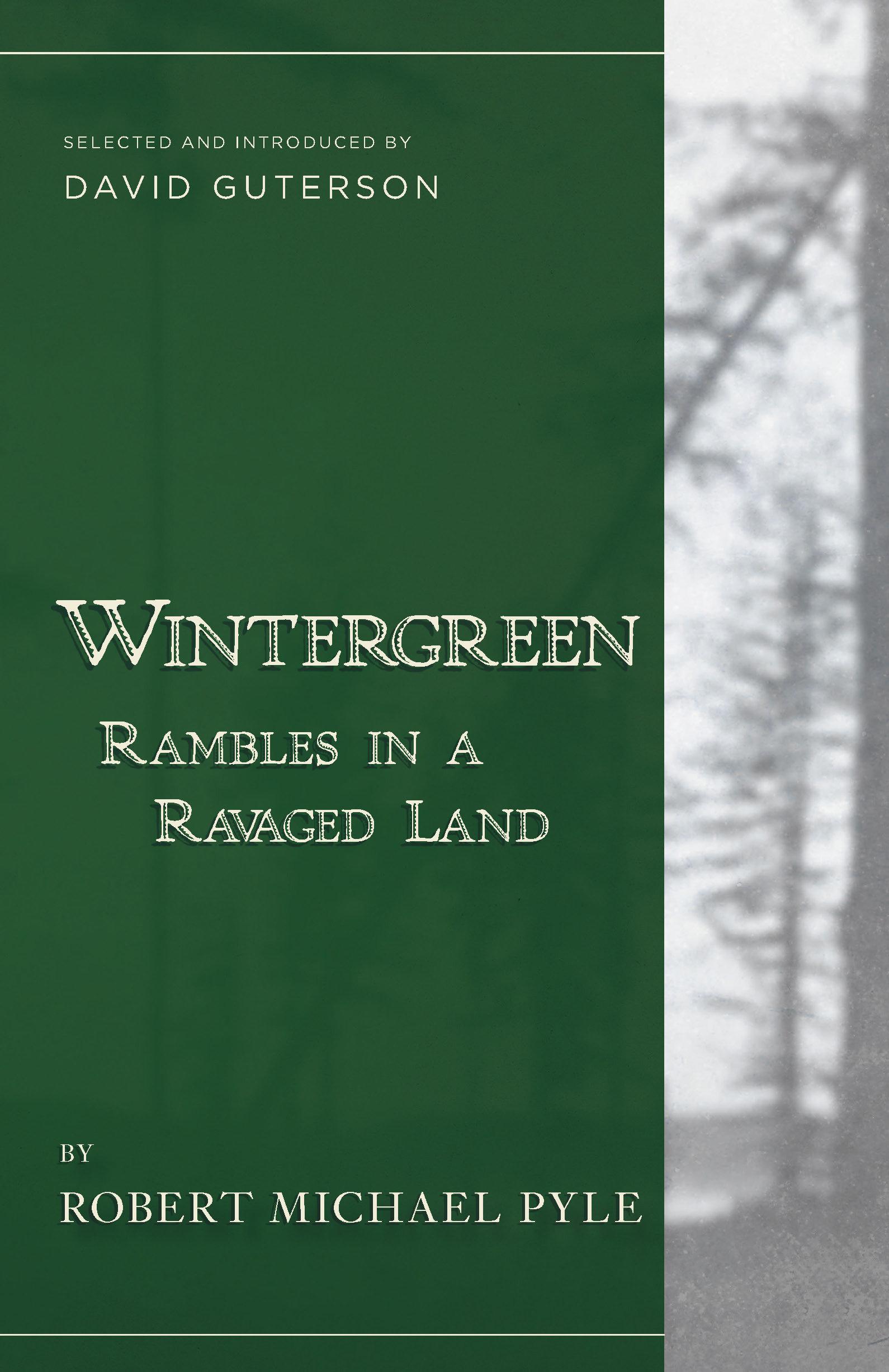 Cover image for Wintergreen