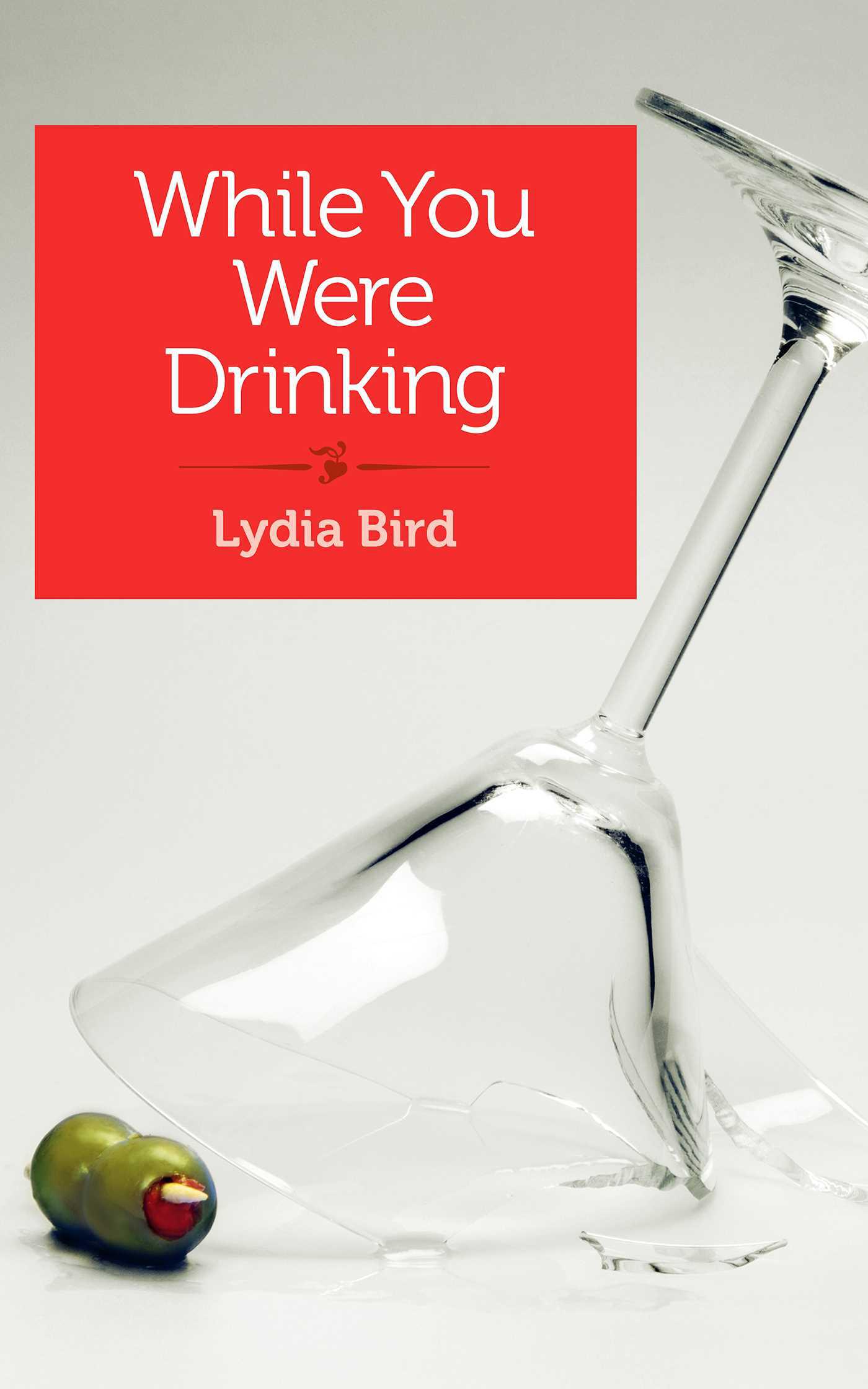 ISBN 9781940838472 product image for While You Were Drinking | upcitemdb.com