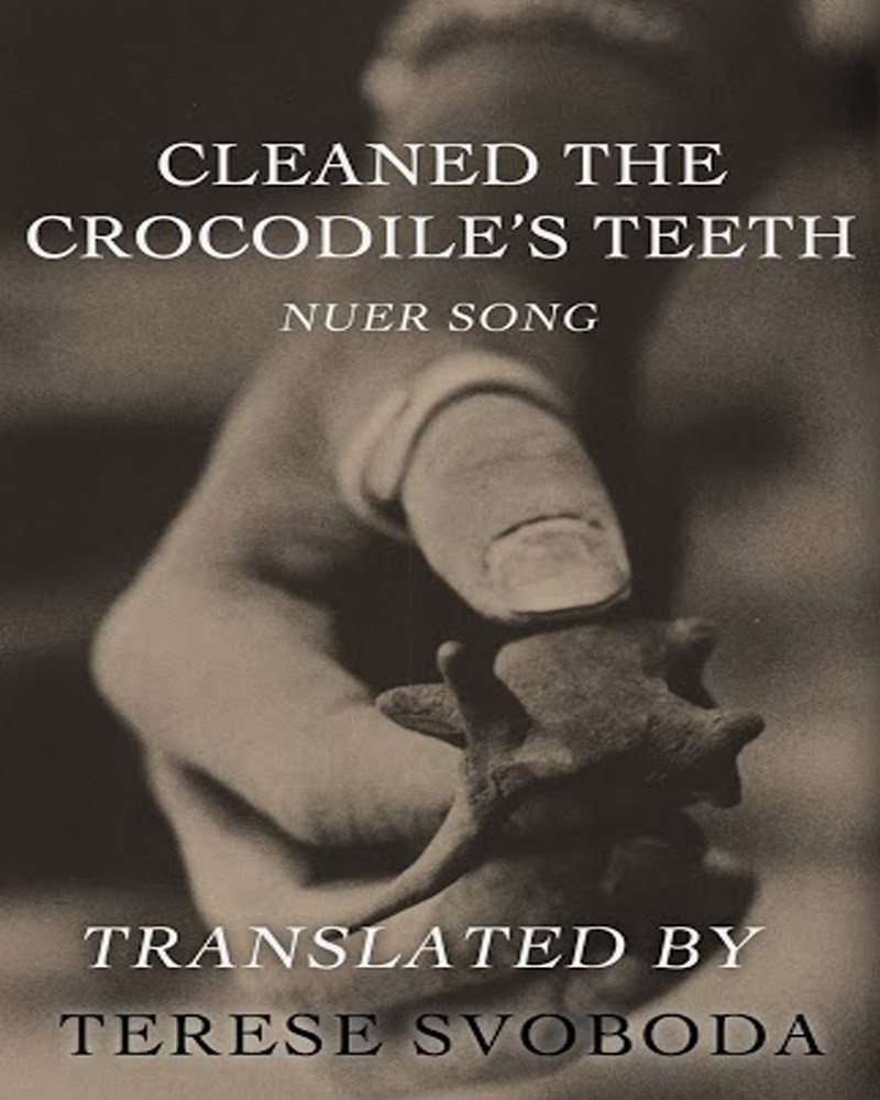 Cover image for Cleaned the Crocodile's Teeth