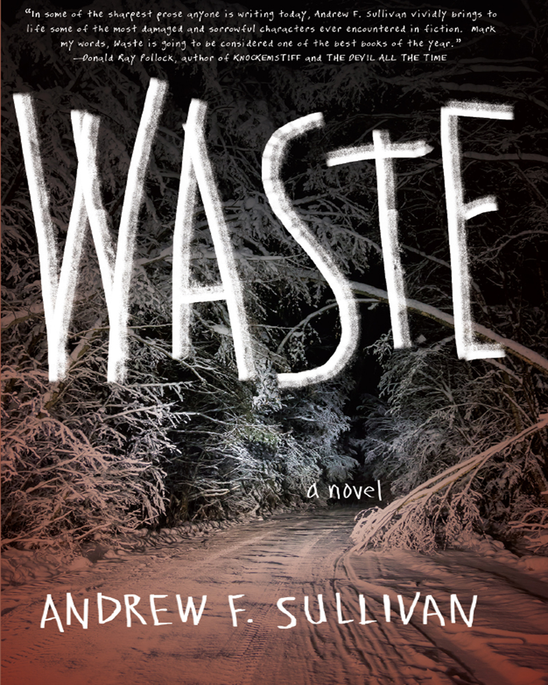 Cover image for Waste